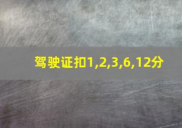 驾驶证扣1,2,3,6,12分