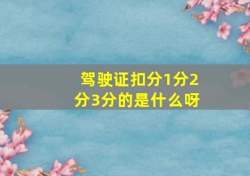 驾驶证扣分1分2分3分的是什么呀