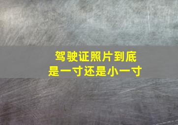 驾驶证照片到底是一寸还是小一寸