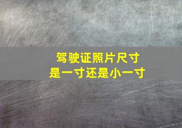 驾驶证照片尺寸是一寸还是小一寸