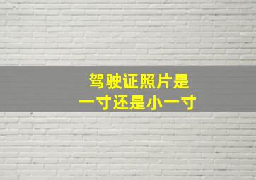 驾驶证照片是一寸还是小一寸