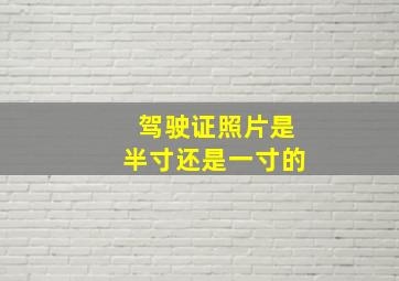 驾驶证照片是半寸还是一寸的