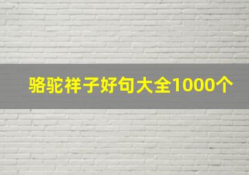 骆驼祥子好句大全1000个