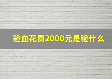 验血花费2000元是验什么