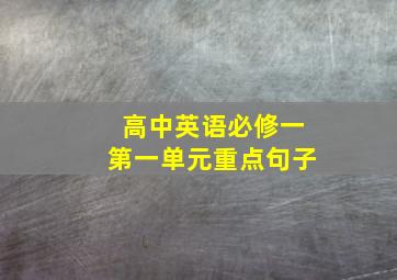 高中英语必修一第一单元重点句子