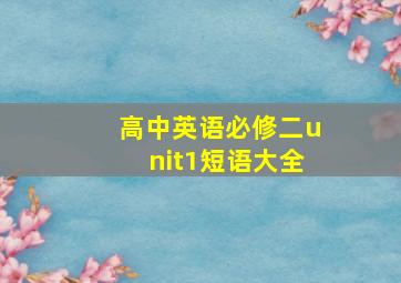 高中英语必修二unit1短语大全