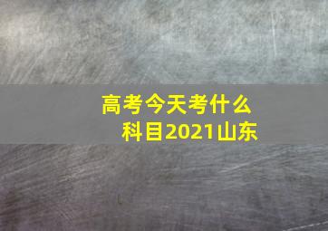 高考今天考什么科目2021山东