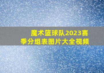 魔术篮球队2023赛季分组表图片大全视频