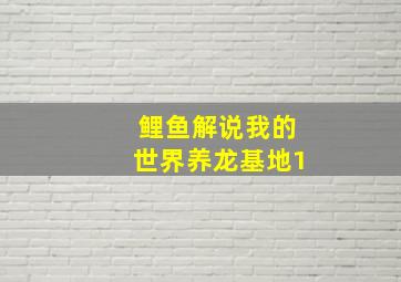 鲤鱼解说我的世界养龙基地1