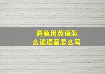 鳄鱼用英语怎么读语音怎么写