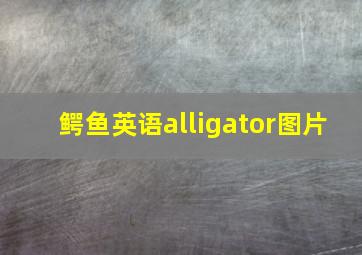 鳄鱼英语alligator图片