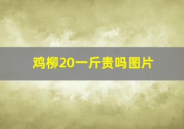 鸡柳20一斤贵吗图片