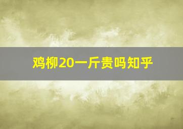 鸡柳20一斤贵吗知乎