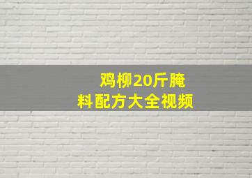 鸡柳20斤腌料配方大全视频