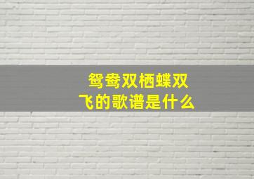 鸳鸯双栖蝶双飞的歌谱是什么