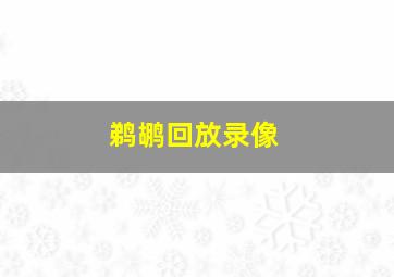 鹈鹕回放录像