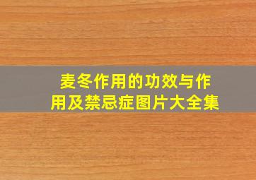 麦冬作用的功效与作用及禁忌症图片大全集