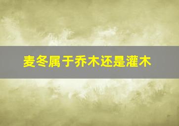 麦冬属于乔木还是灌木