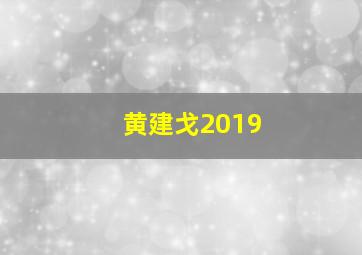 黄建戈2019