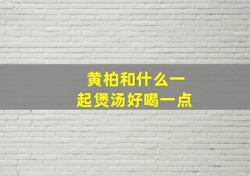 黄柏和什么一起煲汤好喝一点