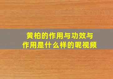 黄柏的作用与功效与作用是什么样的呢视频