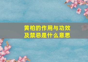 黄柏的作用与功效及禁忌是什么意思