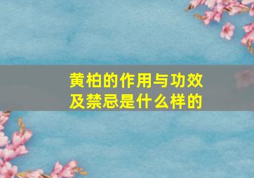 黄柏的作用与功效及禁忌是什么样的