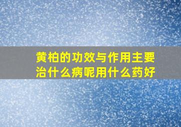 黄柏的功效与作用主要治什么病呢用什么药好