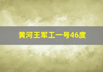 黄河王军工一号46度