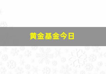 黄金基金今日