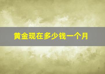 黄金现在多少钱一个月