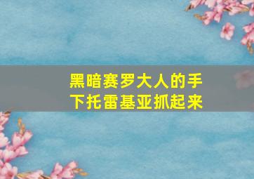 黑暗赛罗大人的手下托雷基亚抓起来