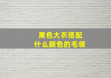 黑色大衣搭配什么颜色的毛领