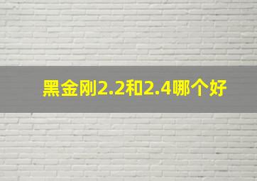 黑金刚2.2和2.4哪个好