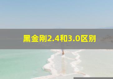 黑金刚2.4和3.0区别