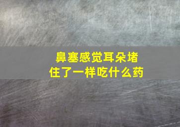 鼻塞感觉耳朵堵住了一样吃什么药