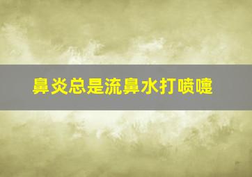 鼻炎总是流鼻水打喷嚏