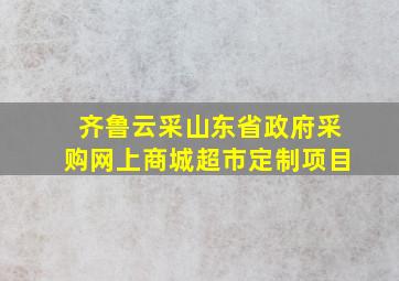 齐鲁云采山东省政府采购网上商城超市定制项目