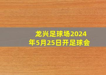 龙兴足球场2024年5月25日开足球会