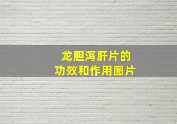 龙胆泻肝片的功效和作用图片